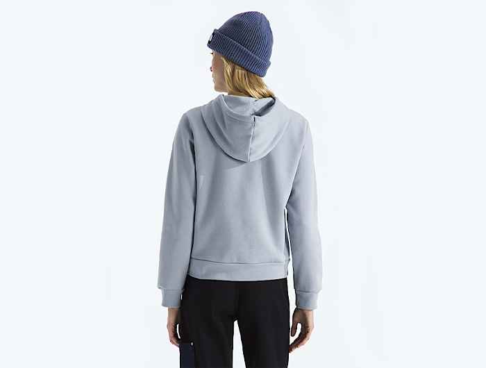 The North Face Women’s Evolution Simple Dome Hoodie