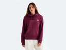 The North Face Women’s Evolution Simple Dome Hoodie