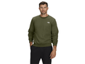 The North Face Men's Evolution Simple Dome Regular Crew