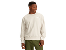 The North Face Men's Evolution Simple Dome Regular Crew