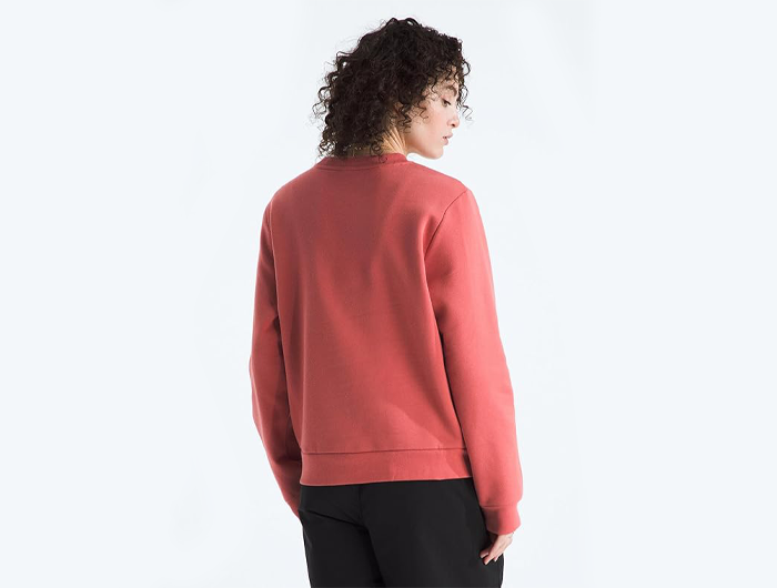The North Face Women's Evolution Simple Dome Regular Crew