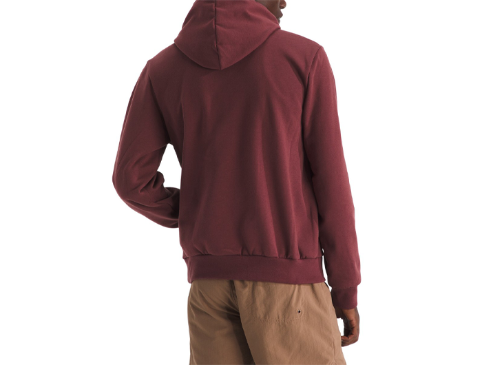 The North Face Men's Evolution TNF™ Bear Hoodie - Graphic