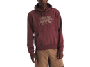 The North Face Men's Evolution TNF™ Bear Hoodie - Graphic