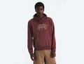 The North Face Men's Evolution TNF™ Bear Hoodie - Graphic