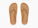 Reef Women's Cushion Vista Ivy Flip Flop