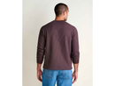 Toad & Co Men's Bitterroot Long Sleeve Crew