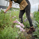 Blundstone 1440 Super 550 Series - FINAL SALE