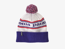 Patagonia Powder Town Beanie
