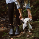 Blundstone 558 Super 550 Series