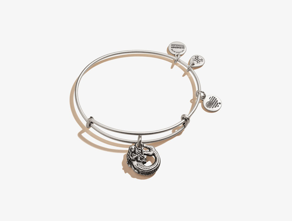 Alex and ani 2025 mermaid bracelet