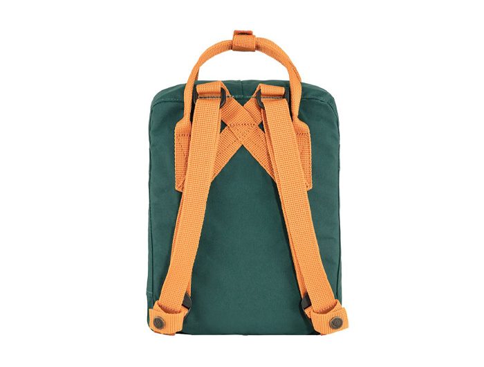 Fjallraven kanken backpack straps sales