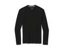 Smartwool Men's Merino 250 Base Layer Crew